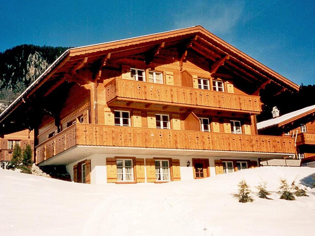 Apartment Chalet Mittelhorn-1 room 1