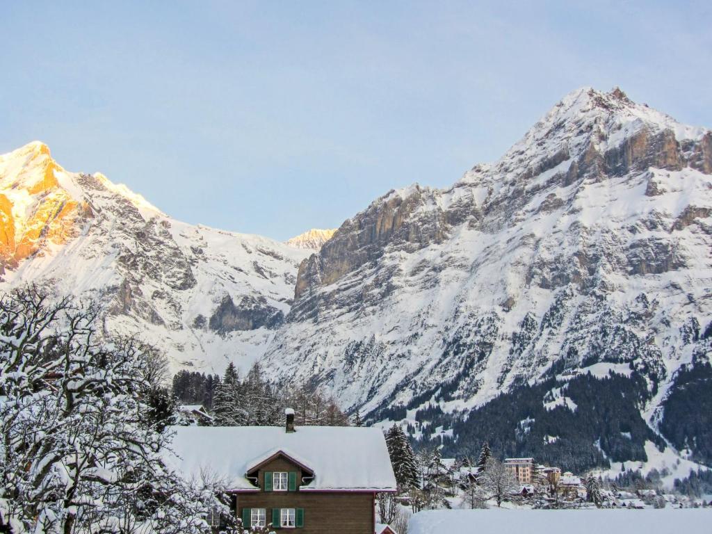 Apartment Chalet Mittelhorn-1 room 6
